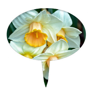 Yellow daffodil flowers cake topper