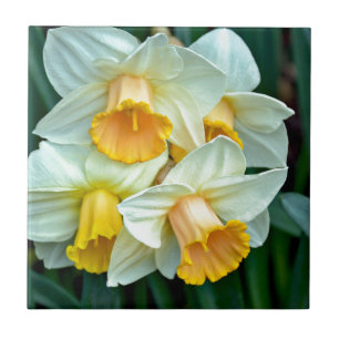 Yellow daffodil flowers ceramic tile