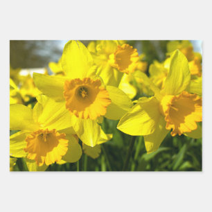 Yellow Daffodil Flowers Wrapping Paper Sheets
