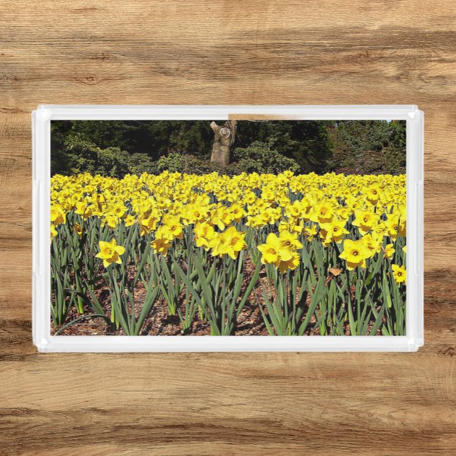 Yellow Daffodil Garden Floral Acrylic Tray (top view)