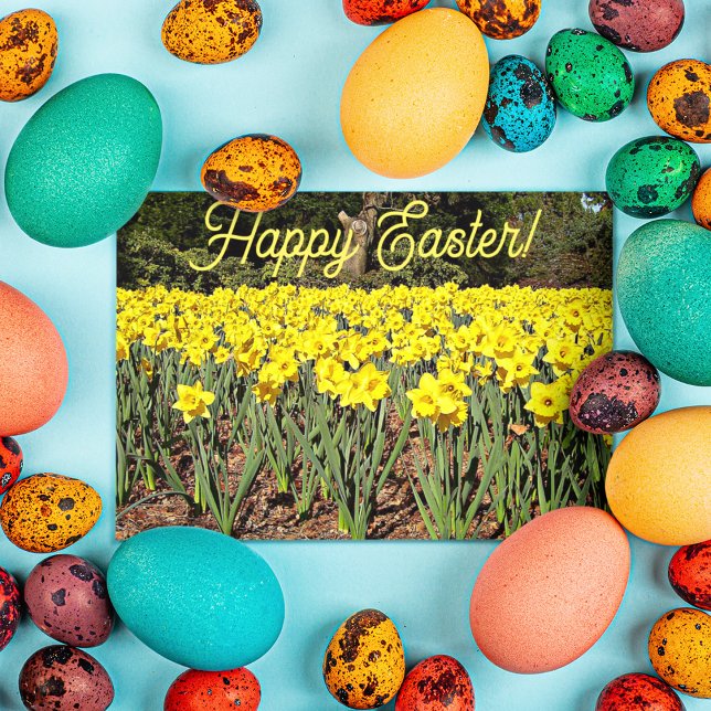 Yellow Daffodil Garden Floral Easter Holiday Card (In Situ)