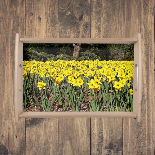 Yellow Daffodil Garden Floral Serving Tray