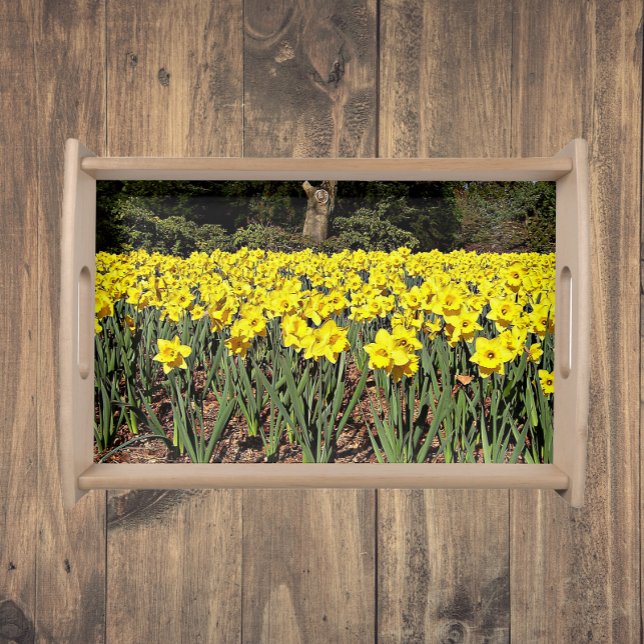 Yellow Daffodil Garden Floral Serving Tray (In Situ)