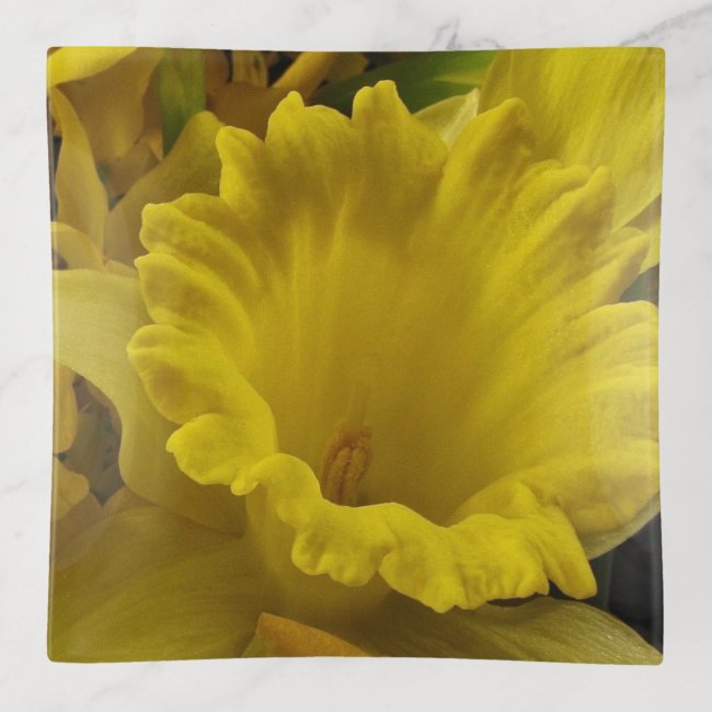 Yellow Daffodil Garden Flower Trinket Tray