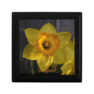 Yellow Daffodil Gift Box