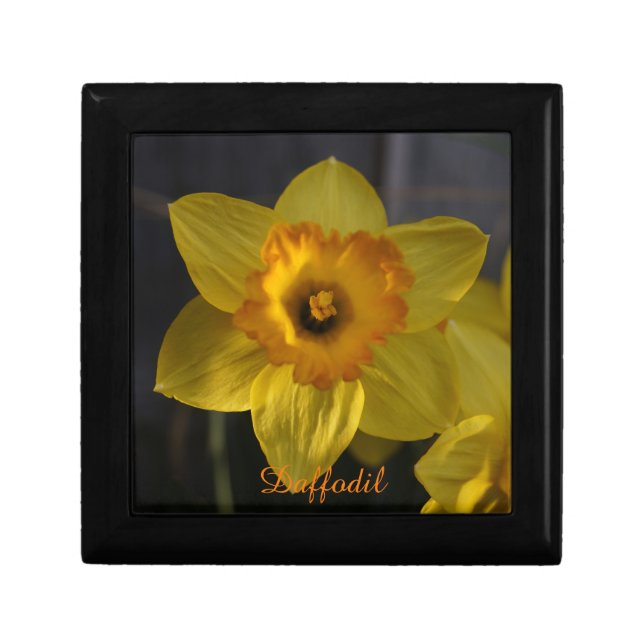 Yellow Daffodil Gift Box (Front)