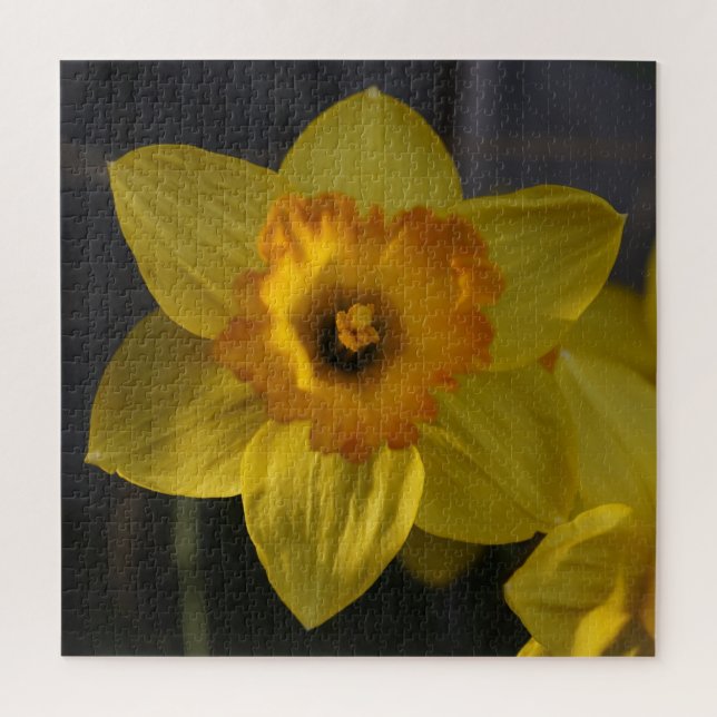 Yellow Daffodil Jigsaw Puzzle (Vertical)