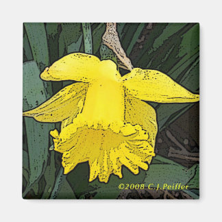 'Yellow Daffodil' Magnet