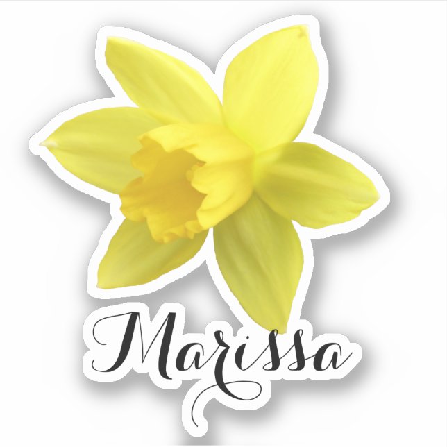 Yellow Daffodil Name Sticker (Front)