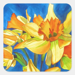 Yellow daffodil narcissus watercolour painting square sticker