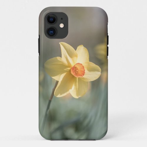 Yellow Daffodil Nature Photo iPhone 11 Case