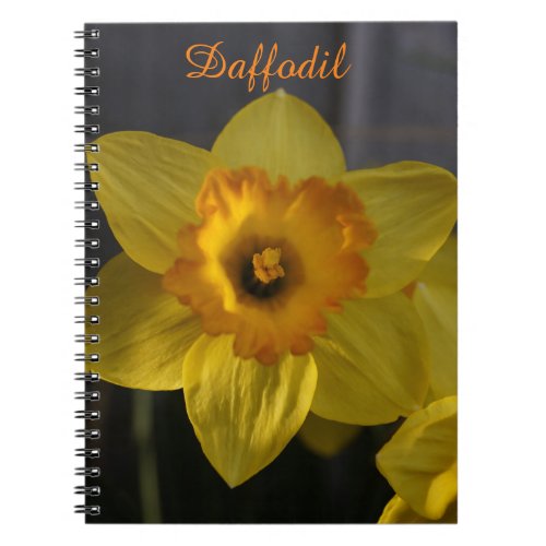 Yellow Daffodil Notebook