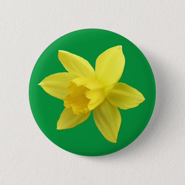 Yellow Daffodil on Green Button (Front)