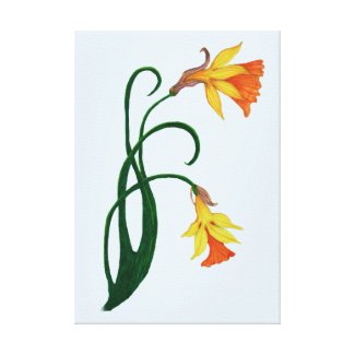 Yellow Daffodil on Light Blue Background Canvas Print