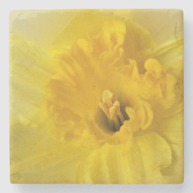 yellow daffodil stone coaster (Front)