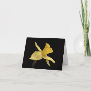 Yellow Daffodil Thank You Card