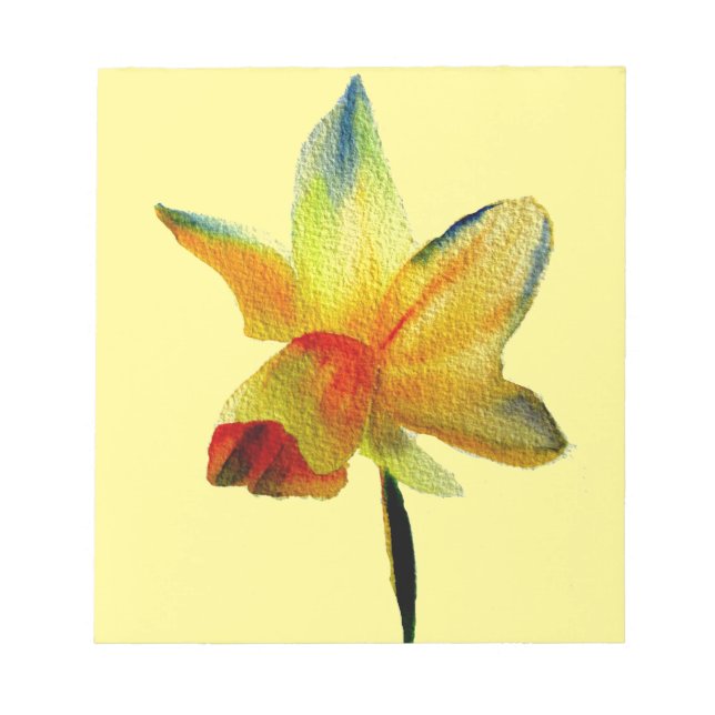 Yellow Daffodil watercolour art Spring Flower Notepad (Front)