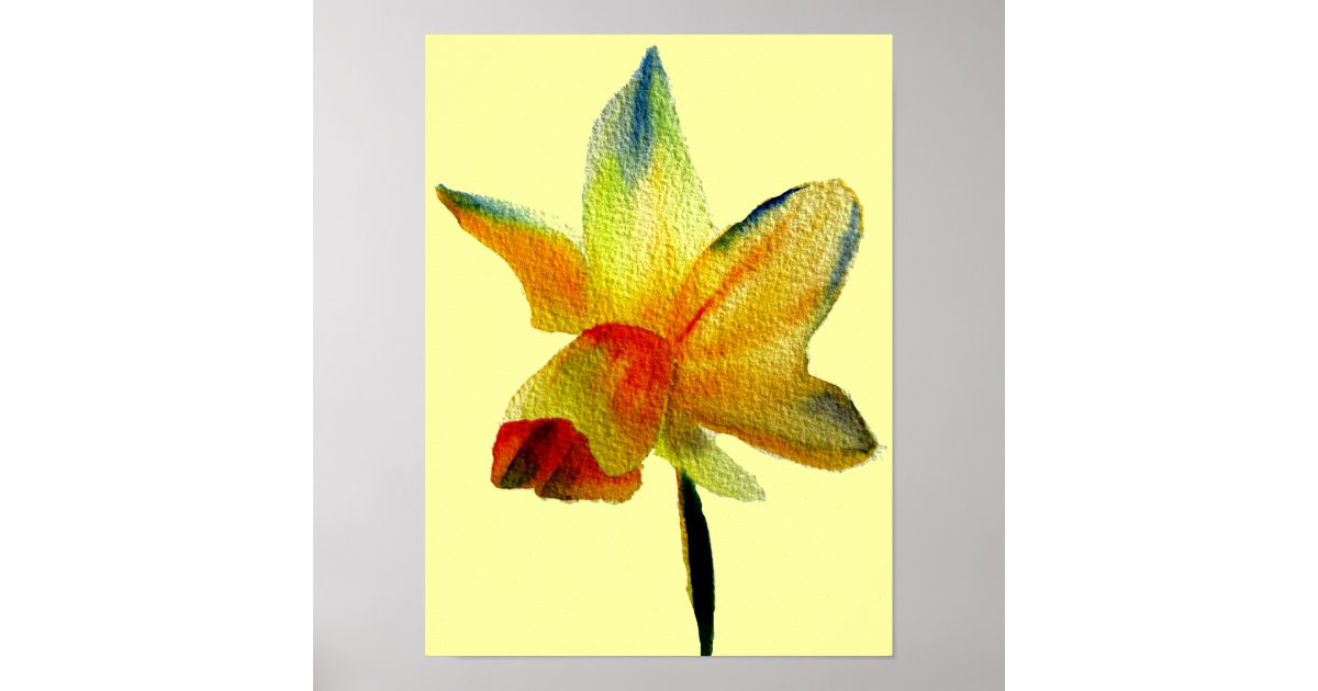 Yellow Daffodil watercolour spring flower art Poster | Zazzle