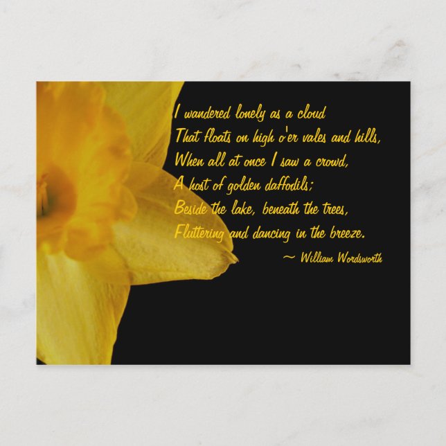 Yellow Daffodil; William Wordsworth Poem Postcard (Front)