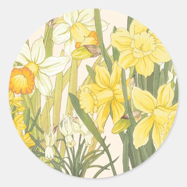 Yellow Daffodills Classic Round Sticker (Front)