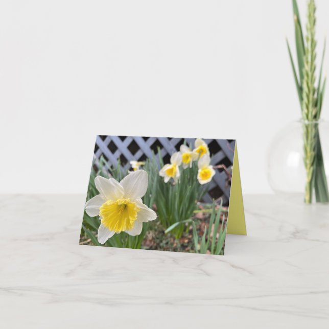 Yellow Daffodils #3 Card (Front)