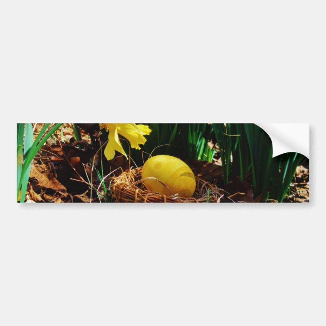 Yellow Daffodils and a Yellow Easter egg Bumper Sticker (Front)