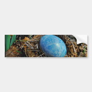 Yellow Daffodils and blue egg in nest Bumper Sticker