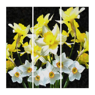 Yellow Daffodils And White Narcissi On Grey Triptych