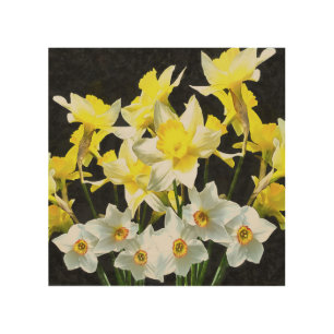 Yellow Daffodils And White Narcissi On Grey Wood Wall Art