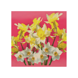 Yellow Daffodils And White Narcissi Viva Magenta Wood Wall Art