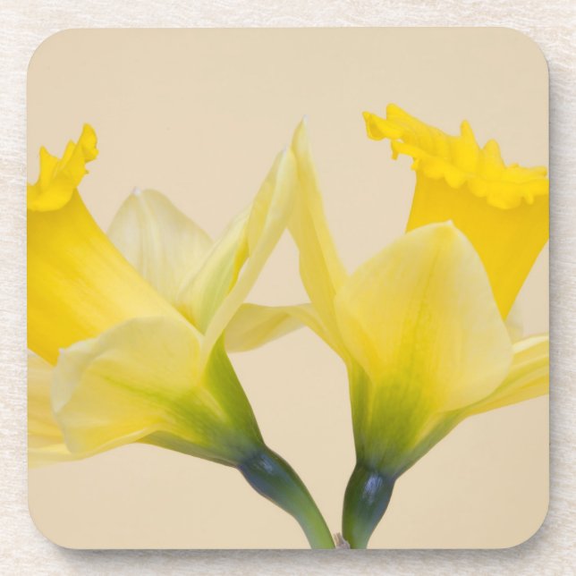 Yellow daffodils beverage coaster (Front)