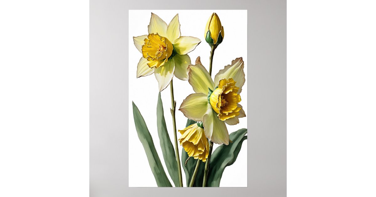 Yellow Daffodils Flower Art Print Poster | Zazzle