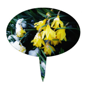 Yellow Daffodils flowers in the snow Cake Topper