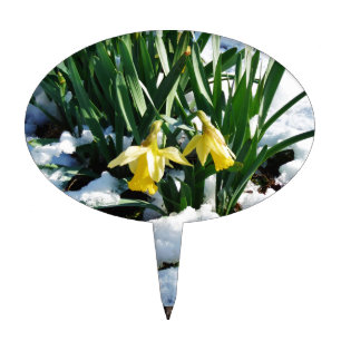 Yellow Daffodils flowers in the snow Cake Topper