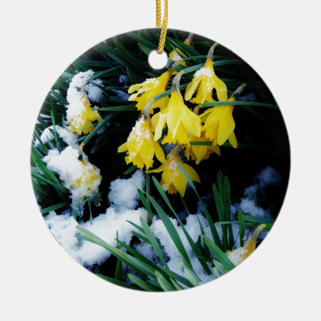 Yellow Daffodils flowers in the snow Ceramic Ornament (Front)