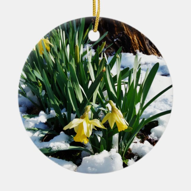 Yellow Daffodils flowers in the snow Ceramic Ornament (Front)