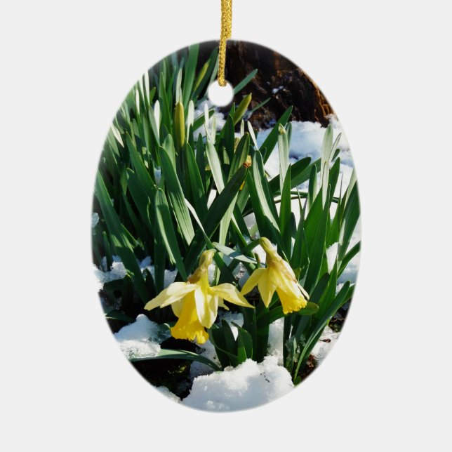 Yellow Daffodils flowers in the snow Ceramic Ornament (Front)