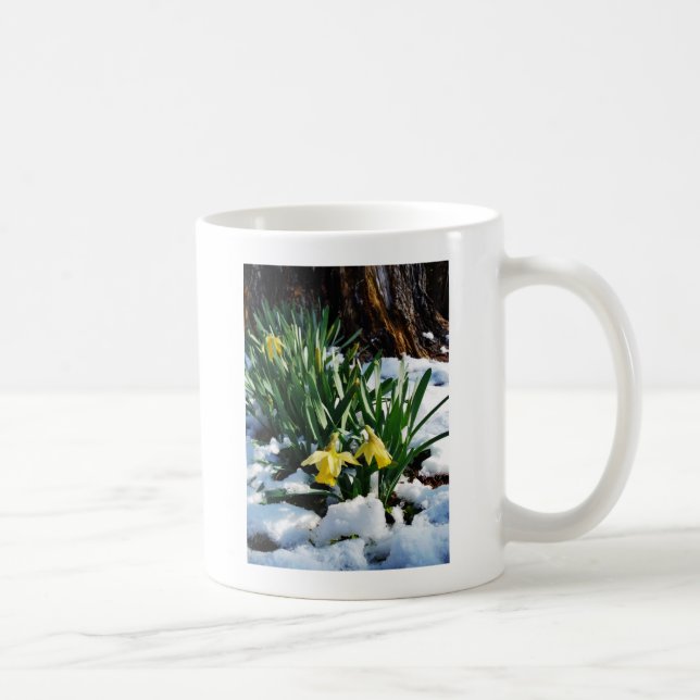 Yellow Daffodils flowers in the snow Coffee Mug (Right)