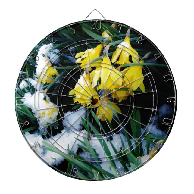 Yellow Daffodils flowers in the snow Dart Board (Front)