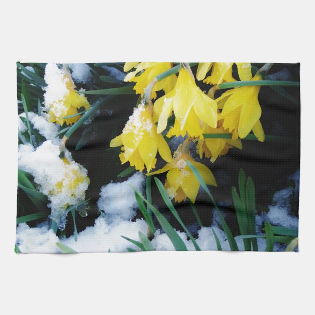 Yellow Daffodils flowers in the snow Kitchen Towel (Horizontal)