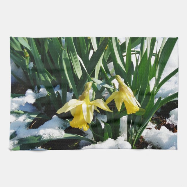 Yellow Daffodils flowers in the snow Towel (Horizontal)