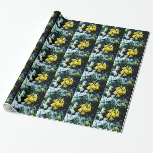 Yellow Daffodils flowers in the snow Wrapping Paper