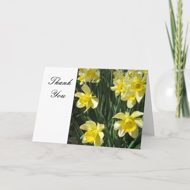 Yellow Daffodils Flowers Thank You (Front)
