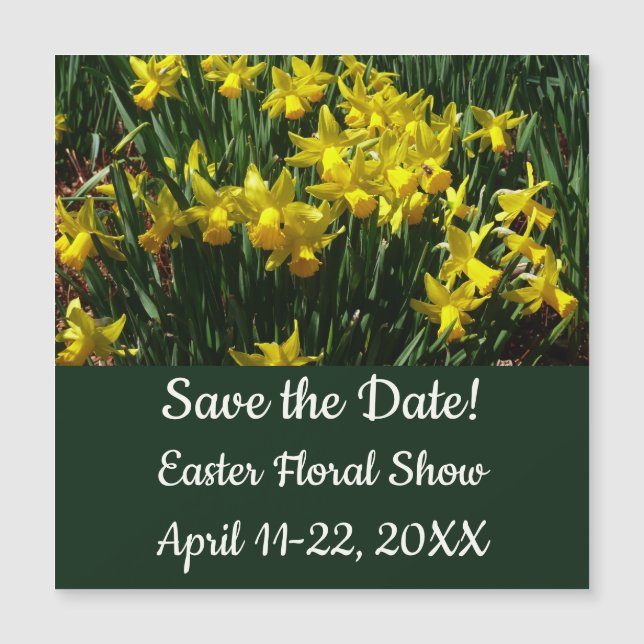 Yellow Daffodils I Cheery Spring Flowers (Front)