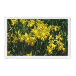 Yellow Daffodils I Cheery Spring Flowers Acrylic Tray