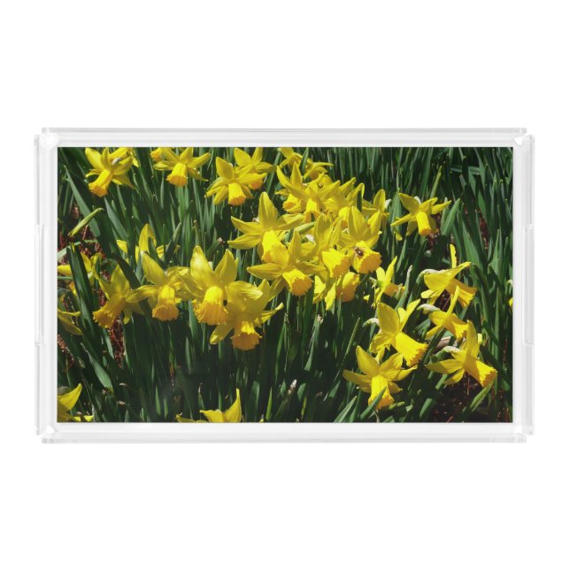 Yellow Daffodils I Cheery Spring Flowers Acrylic Tray (Front)