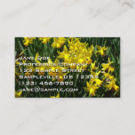 Yellow Daffodils I Cheery Spring Flowers Business Card