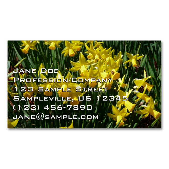 Yellow Daffodils I Cheery Spring Flowers Business Card Magnet (Front)
