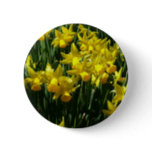 Yellow Daffodils I Cheery Spring Flowers Button