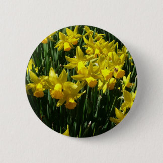 Yellow Daffodils I Cheery Spring Flowers Button